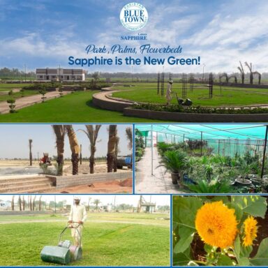 Sapphire is the New green Beautiful parks
